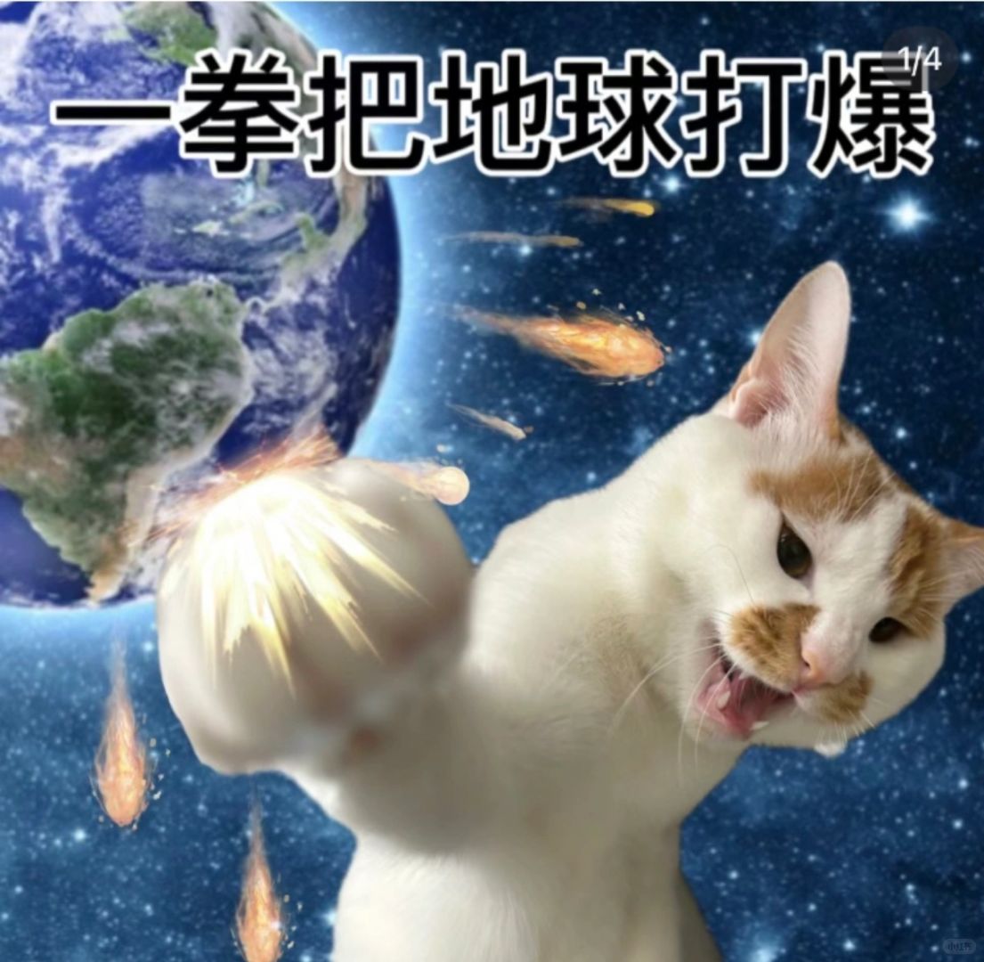 小红书评选人气第一的宠物，不是猫猫？？？
要疯了呀家人们， 猫猫怎么落后这么多啊