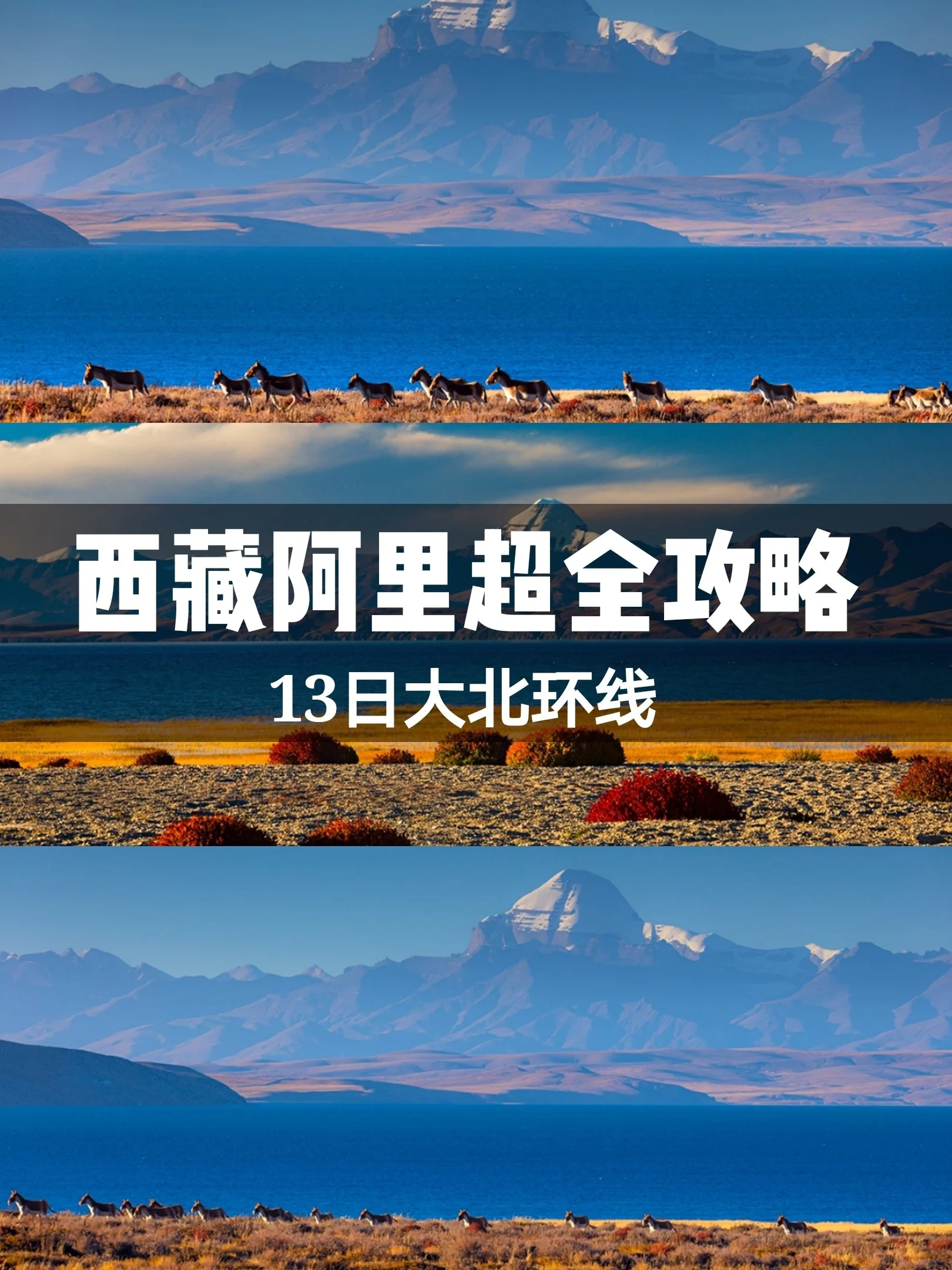 西藏阿里超全攻略｜快收藏起来吧❗️