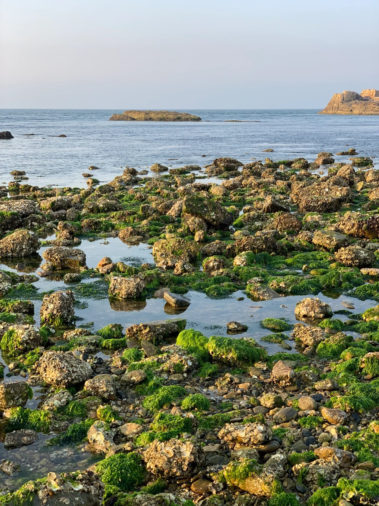 威海亲子｜适合新手的小石岛赶海公园🦀️