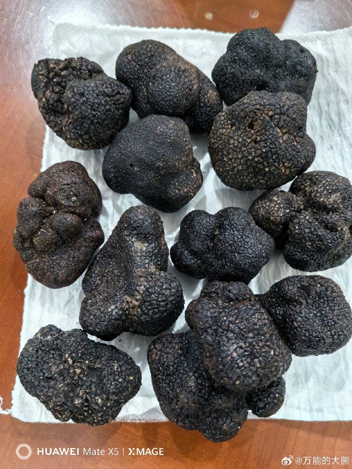 一斤黑松露，听说很贵，但不知道怎么吃。。 ​​​
