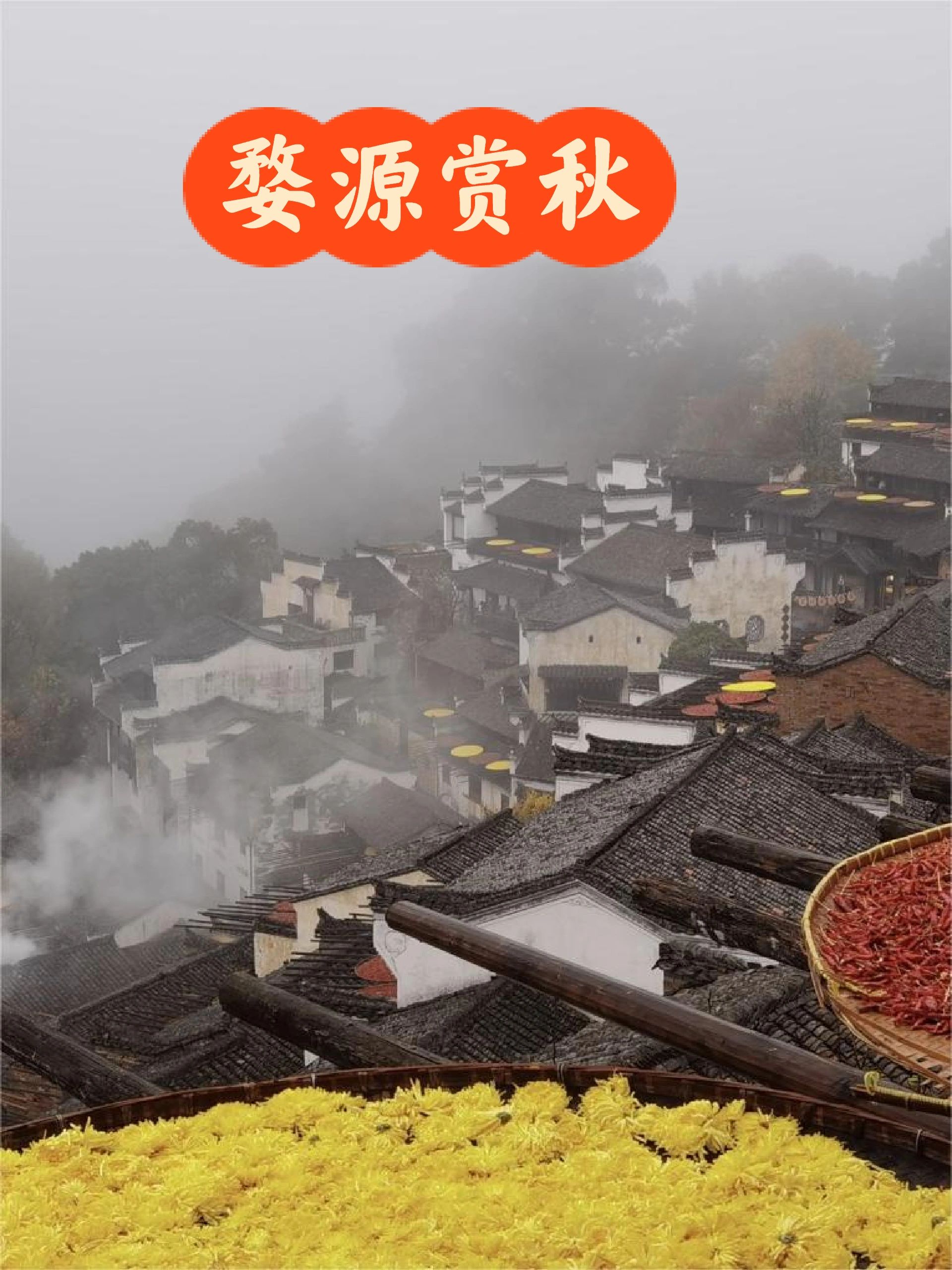 秋天去婺源旅游必看攻略