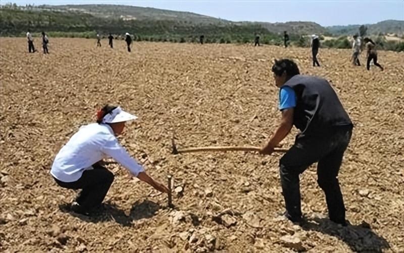 “死者有田，活人没地”！第三轮土地承包将至，支持打乱重分吗？目前，农村存在着“死