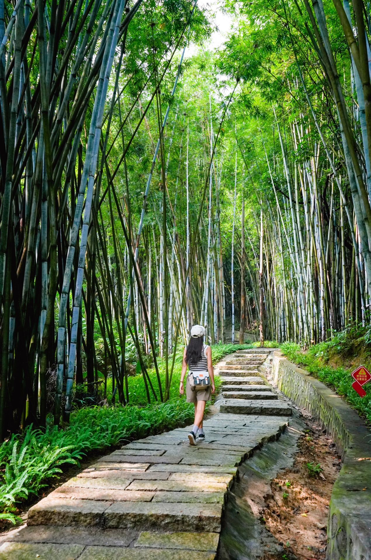 广州徒步｜小众蕞美“S湾”徒步路线🌲