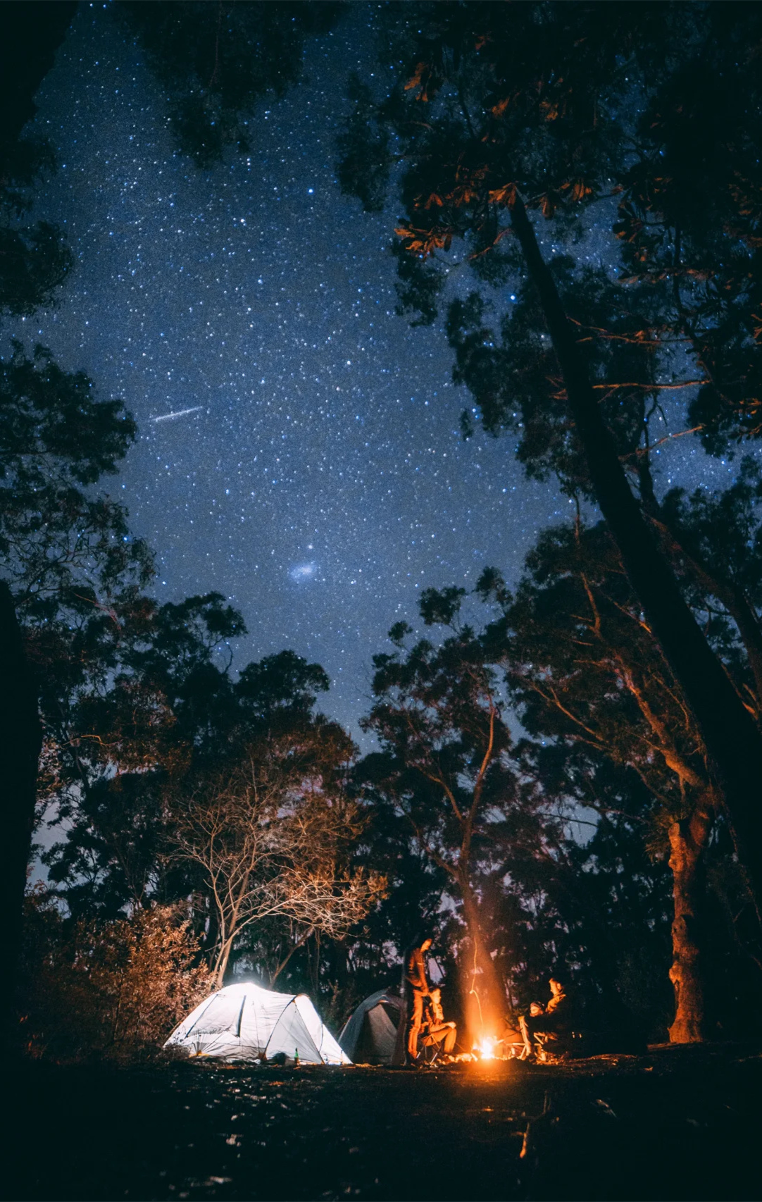 广州2h直达我不允许你错过这些宝藏露营地