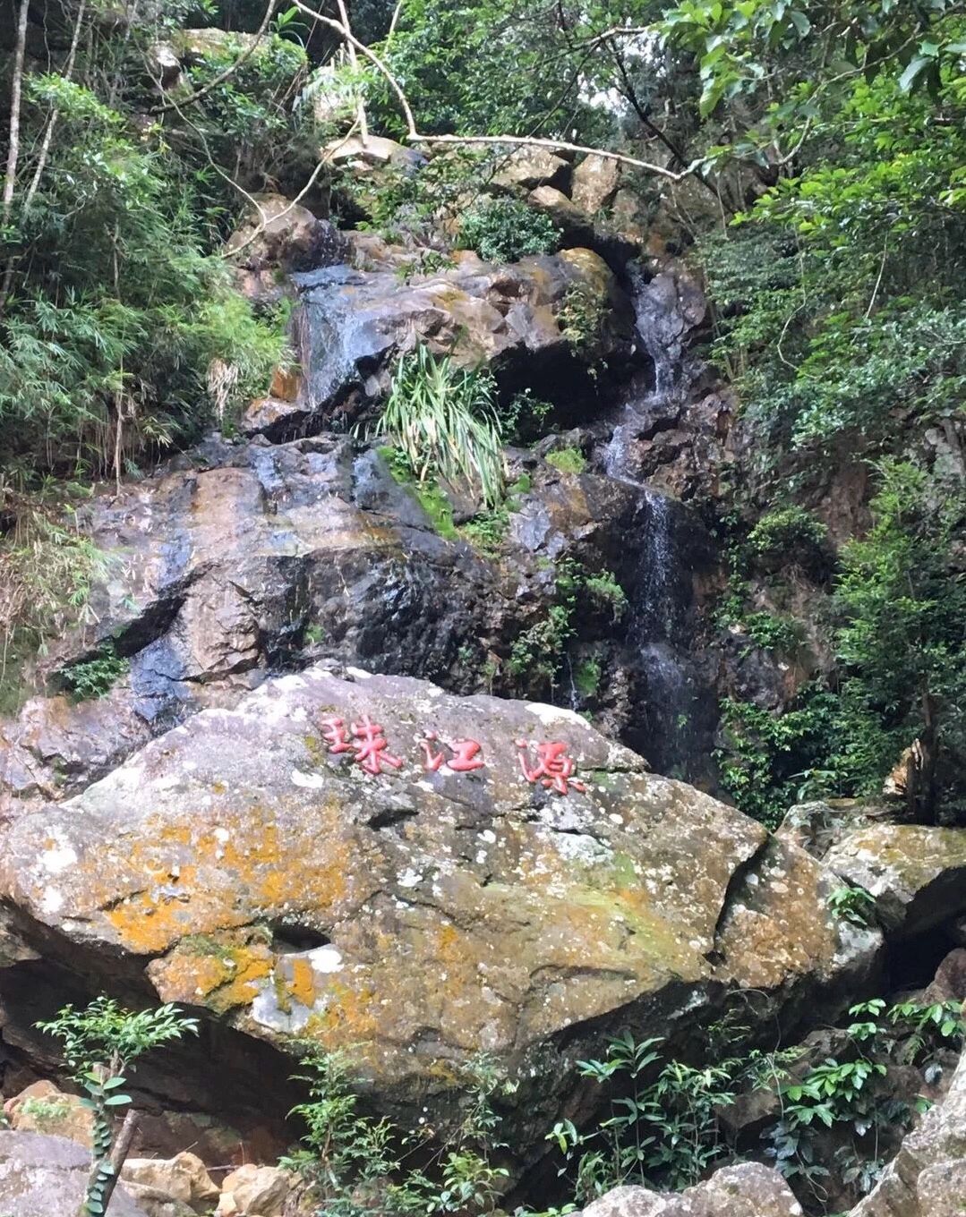 十万大山国家森林公园，被人们误导的土匪窝