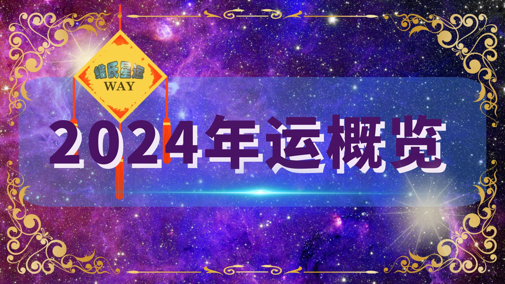 维氏星运2024年运摘要