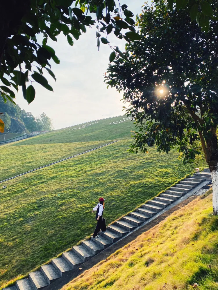 不小心闯入宫崎骏の童话世界