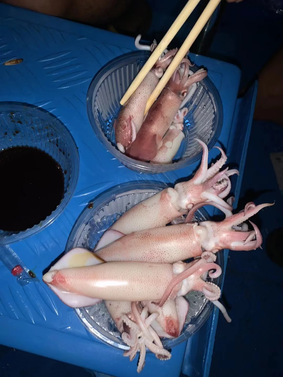 深圳海钓🎣旺季的吹筒就是肥呀‼️