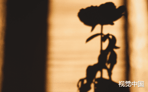 我穿回过去才发现我那刚离婚的前夫也穿越回去了