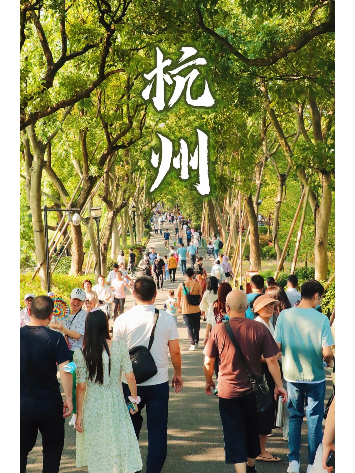 一年去50次，杭州这个地方超美