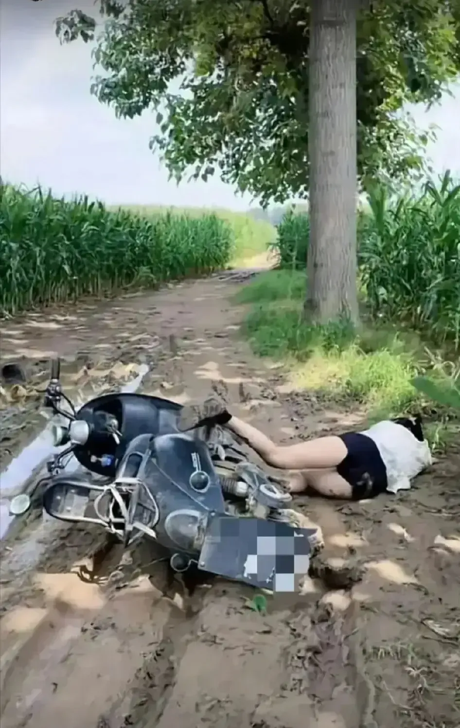今天骑车带我小姨子翻车了，她应该不会怪我吧！问问各位老铁，这车洗洗应该还可以用吗