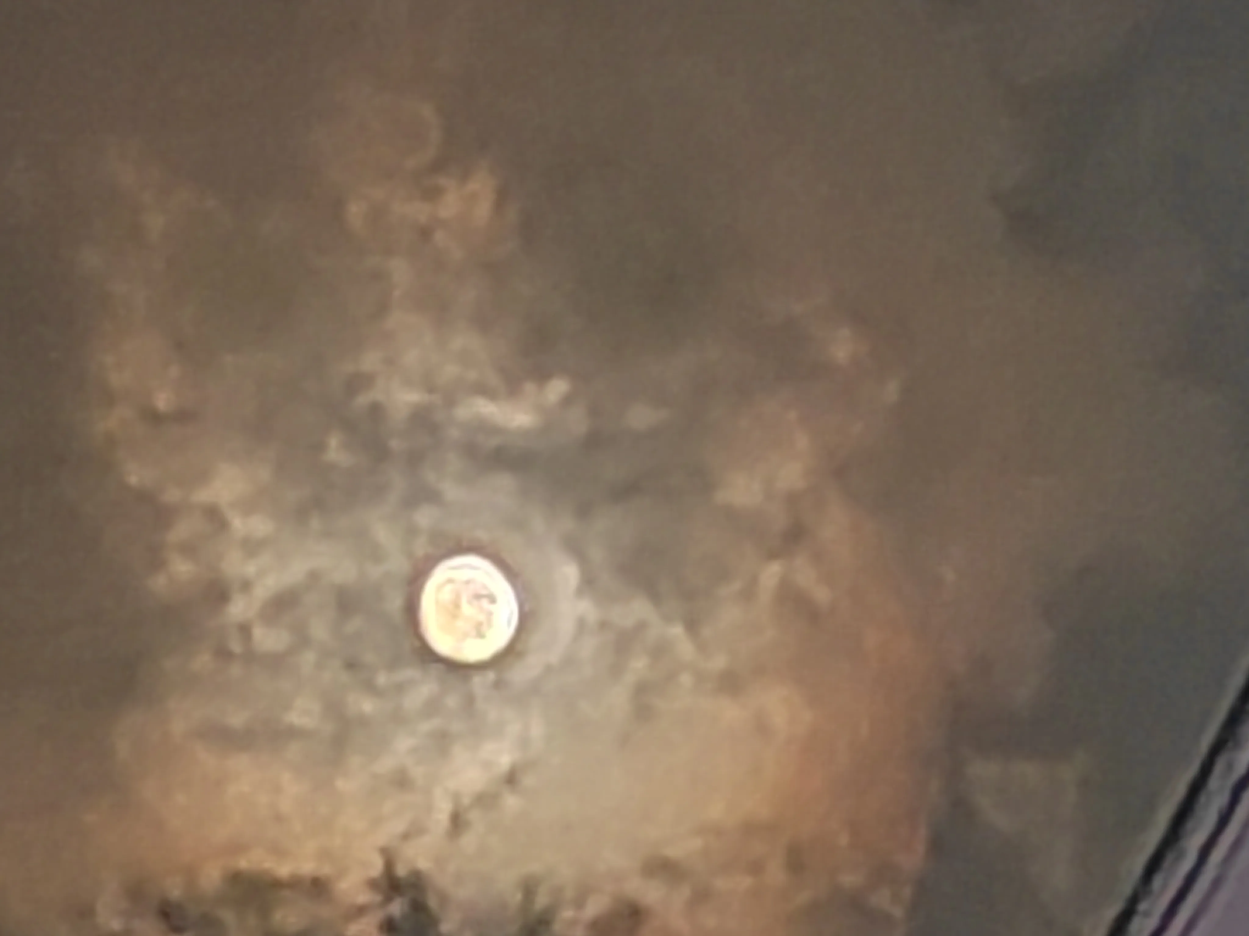 第一次去北京博物馆对人皮鼓很感兴趣，详细了解了其做法真的头皮发麻。
今天看到藏族