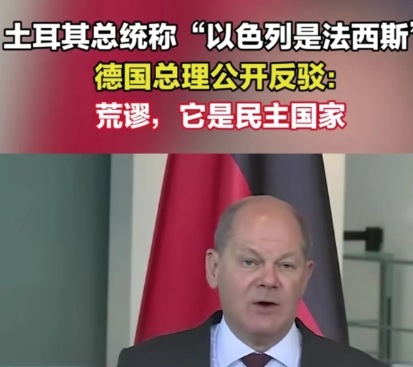 土耳其总统说以色列是法西斯，德国总理反驳说以色列是民主国家。我不明白这样的反驳意