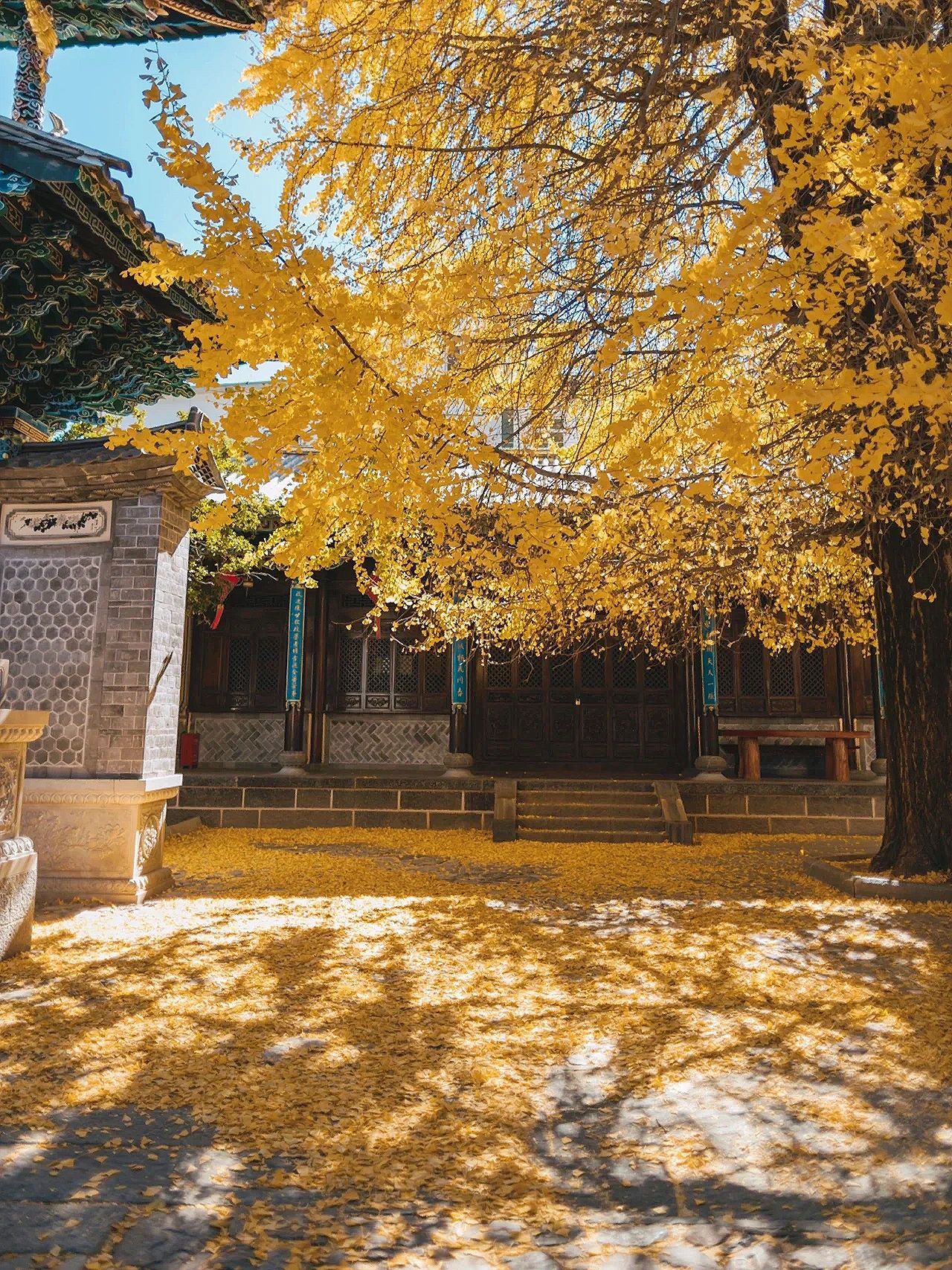 本地人整理云南赏秋绿线这么走
