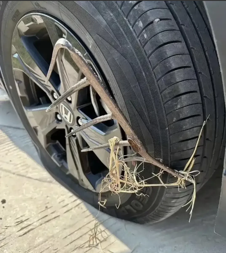 这泥🐴！这是啥呀？