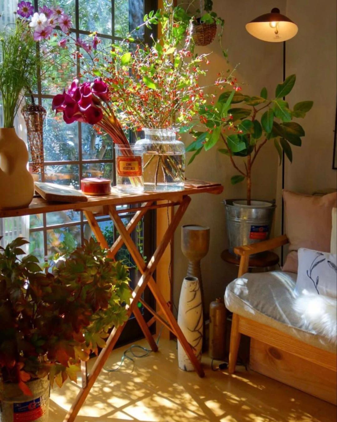 冬日的暖阳，最暖凡人心！
朝朝暮暮，沉淀过往，迎来新光，祝愿亲爱的朋友们，前方一