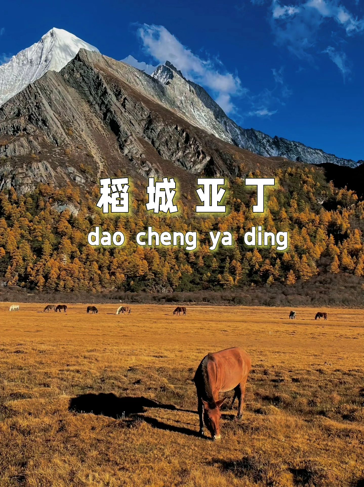稻城亚丁，已经有了秋天的味道
