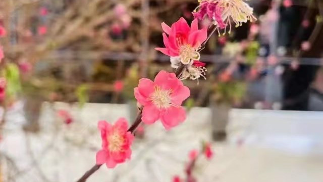 闺蜜跟我的男友搞破鞋，怎么办？求答案