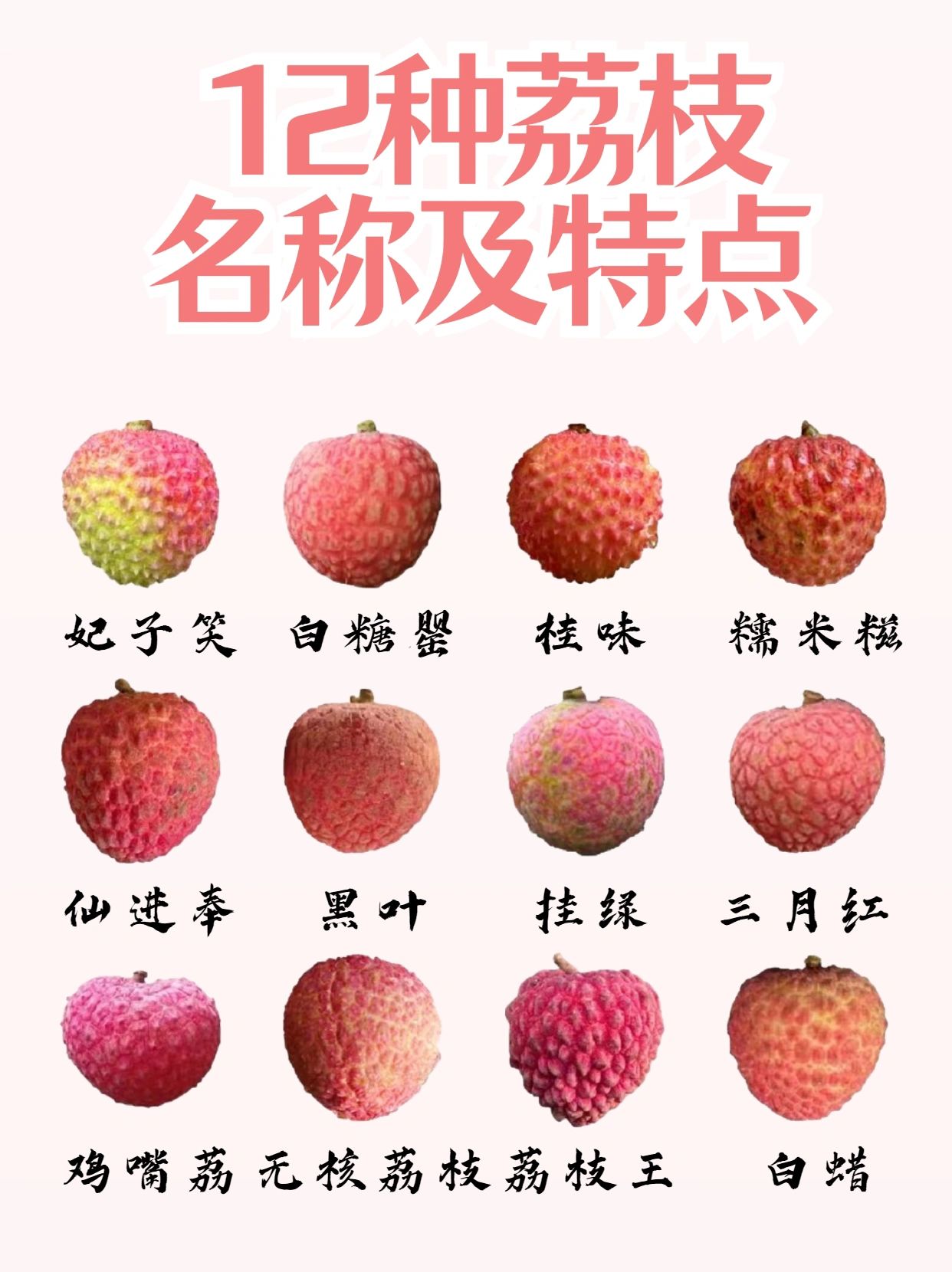 常见荔枝名称#荔枝种类#