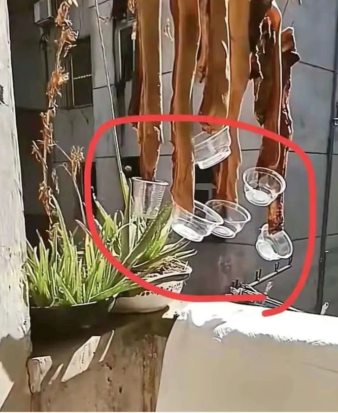 
看到楼上邻居晾腊肉，我上门请求他收掉，遭到拒绝后，他却以实际行动证明了他的善良