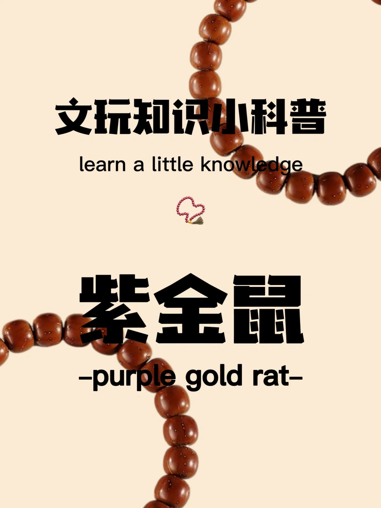📿紫金鼠小科普，听说戴它可以招财⁉️