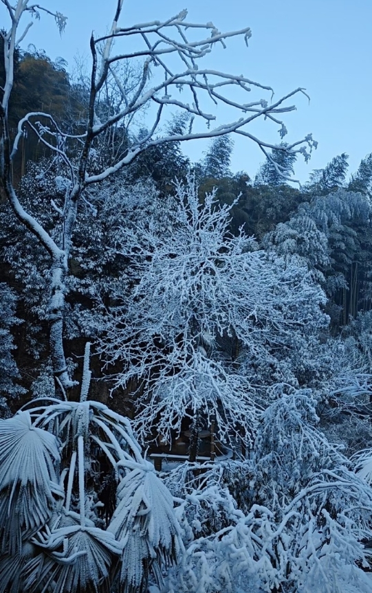 烽火照西京，心中自不平。
牙璋辞凤阙，铁骑绕龙城。
雪暗凋旗画，风多杂鼓声。
宁