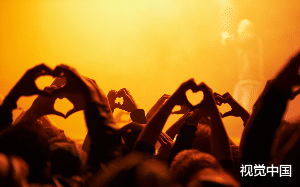 我妈追星，最终直接将偶像抓来当了女婿