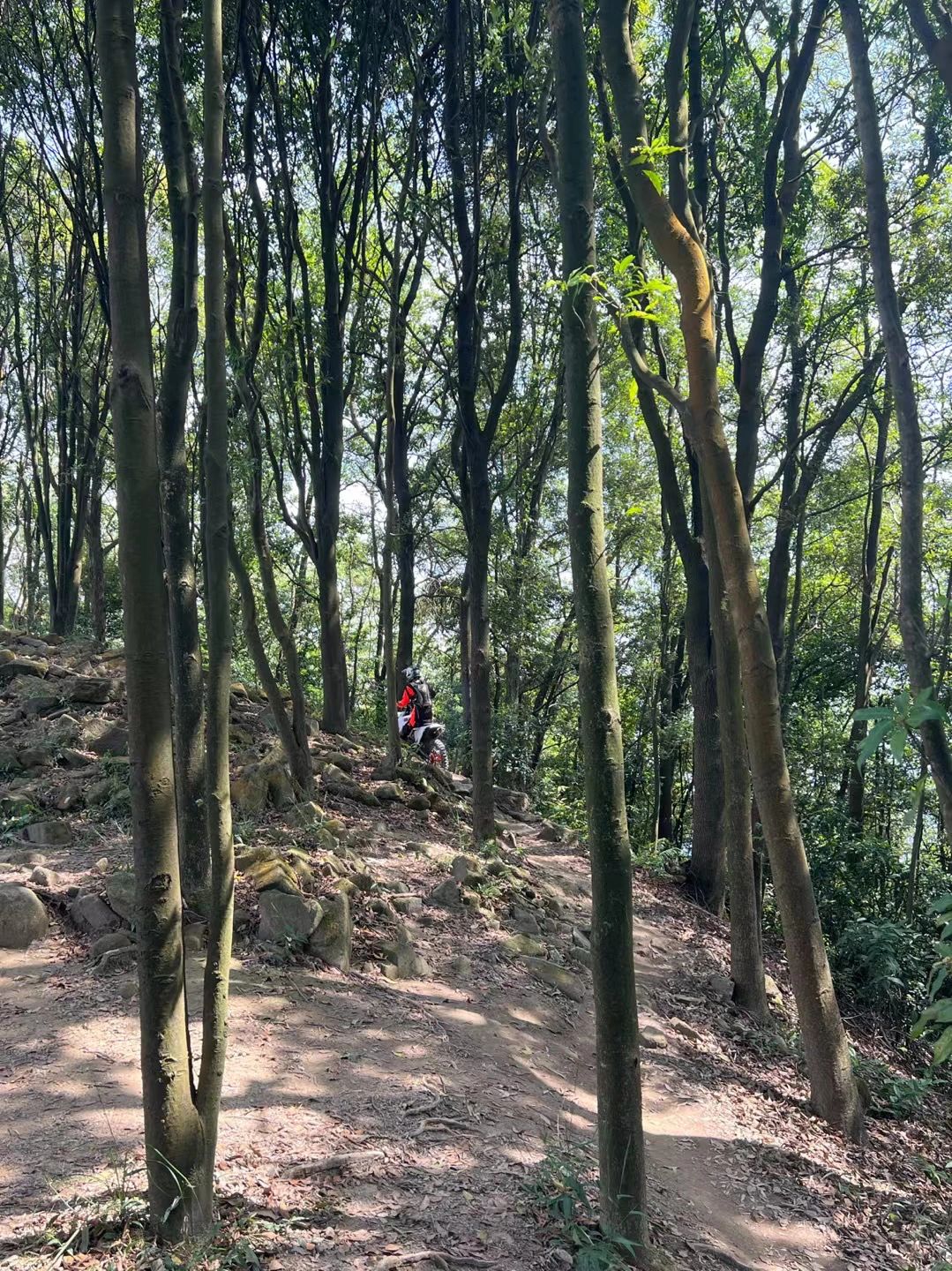 广州徒步Hiking⛰️火炉山