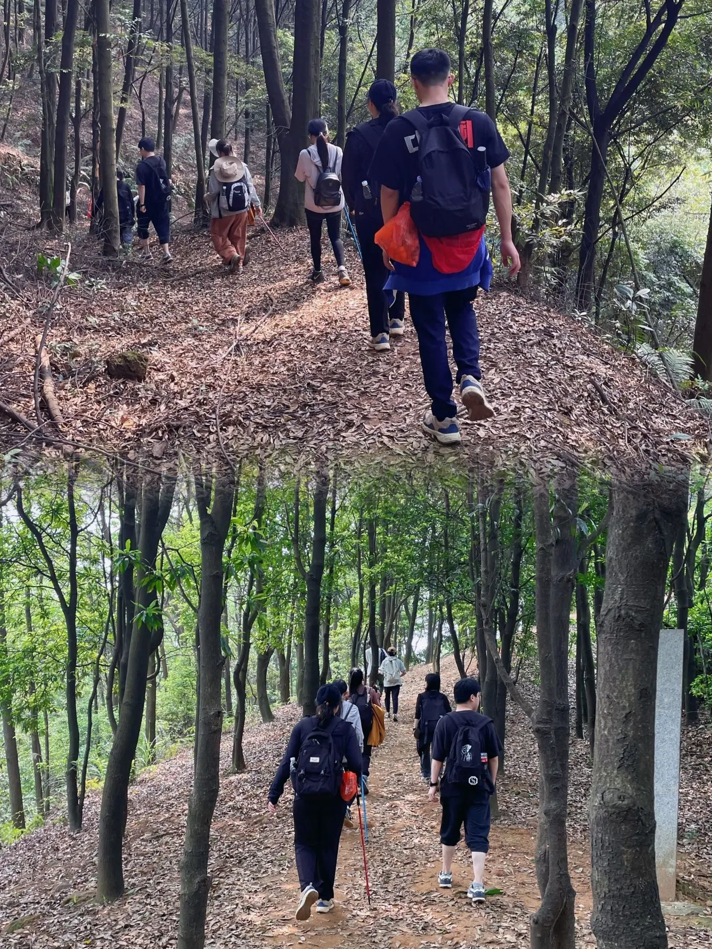 天河火炉山凤凰山| 雨后爬山日记2.0