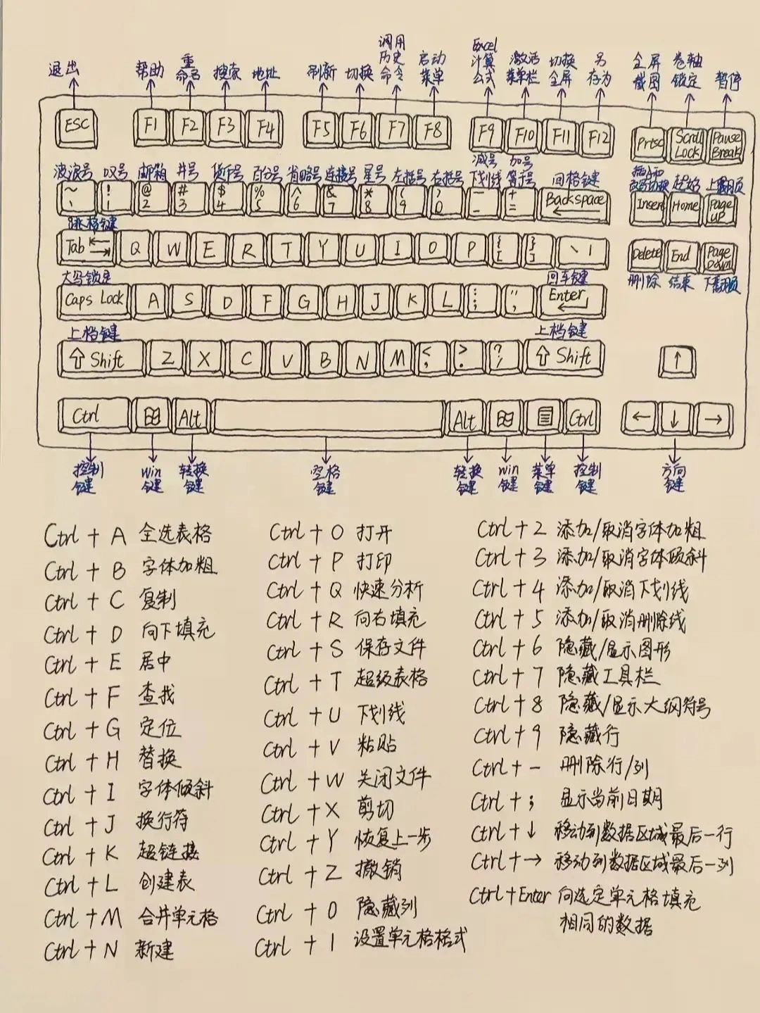 快捷键#新手电脑入门基础知识#