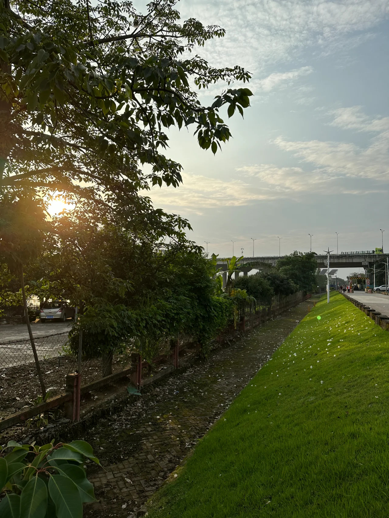 白云区📍遛娃也遛妈🚣‍♀日式风格