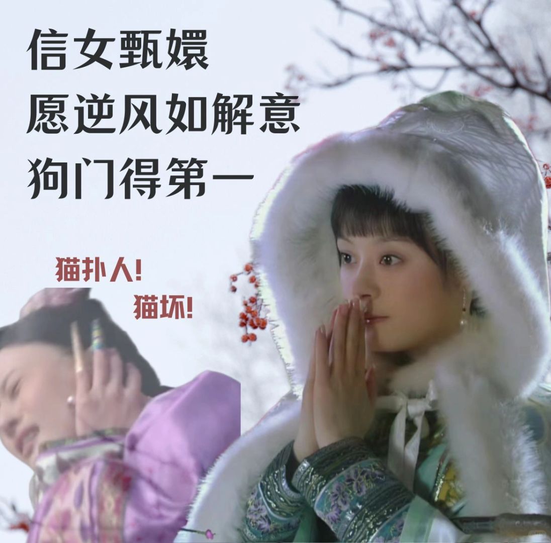 我是甄嬛，我实名支持狗狗教
我是甄嬛，上一世，松子扑人，导致富察贵人小产，我也受