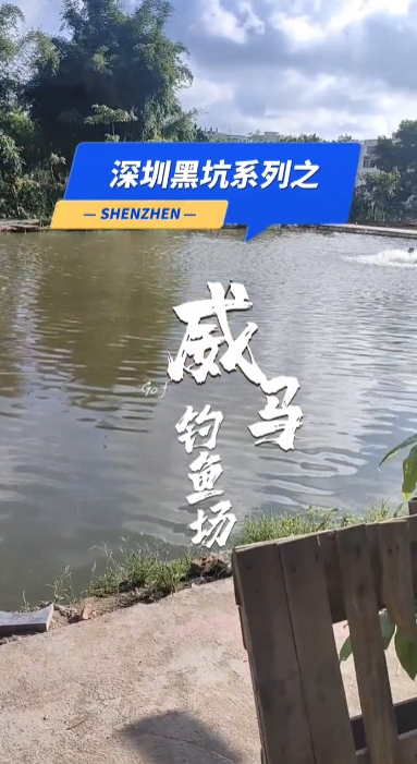 探坑威马钓鱼场