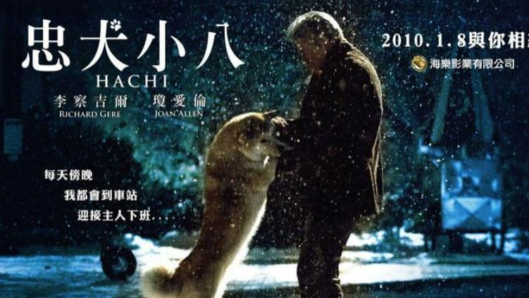 电影《忠犬八公的故事》，一段深情的等待，感动世界的故事