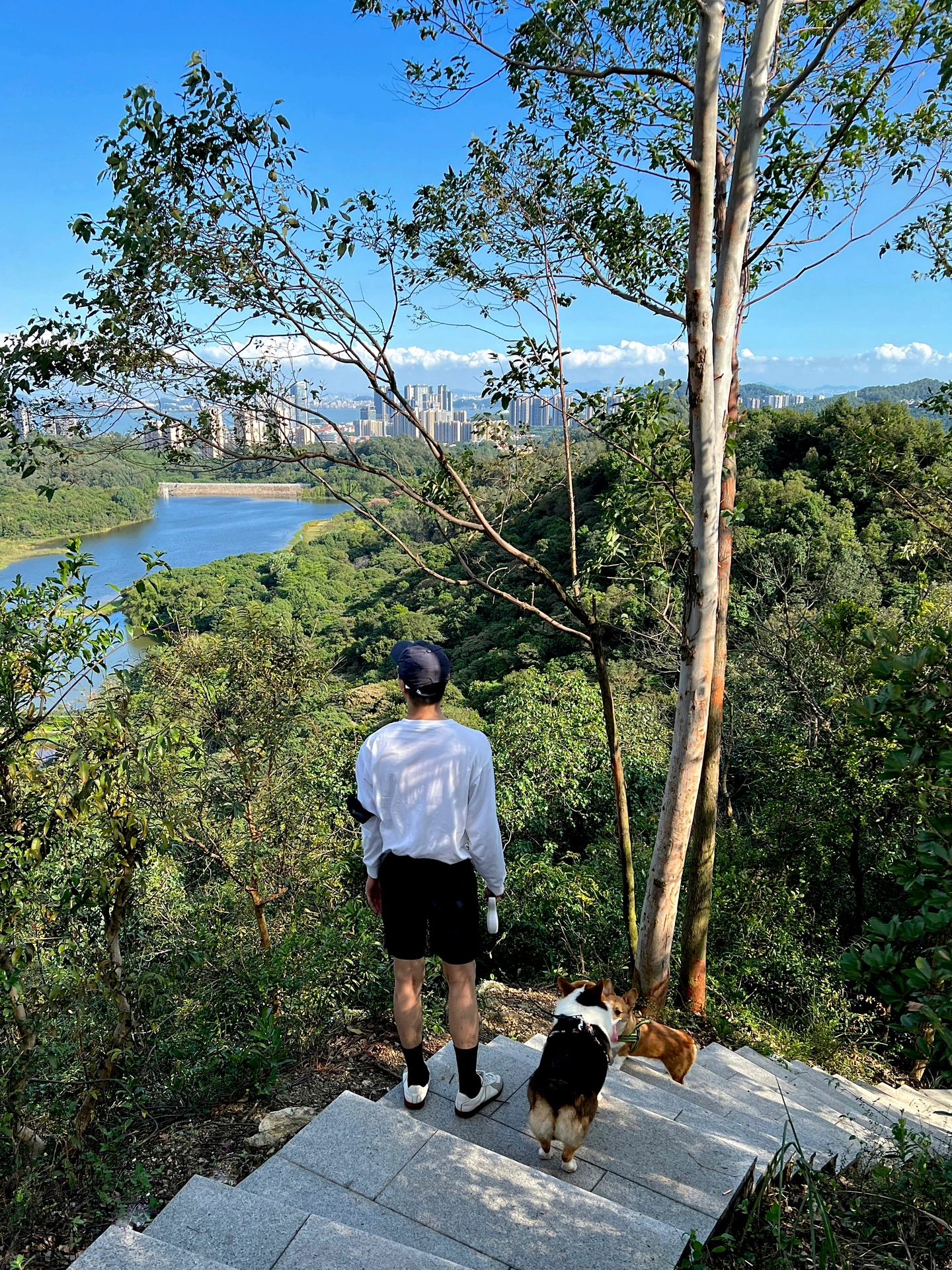 广州小香港太平山 黄山鲁森林公园