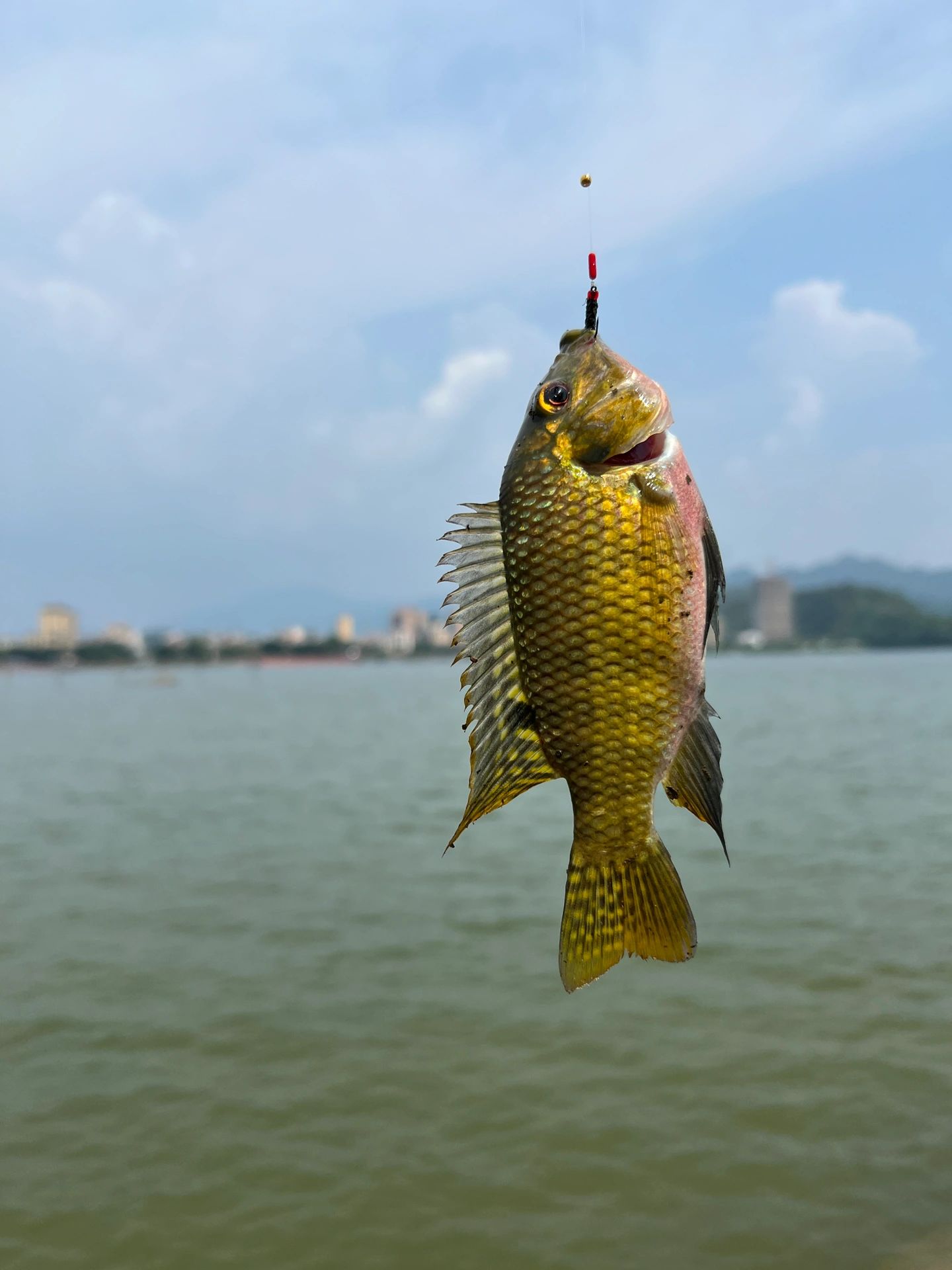 一起来探钓｜路亚除了要帅，还不能打龟！