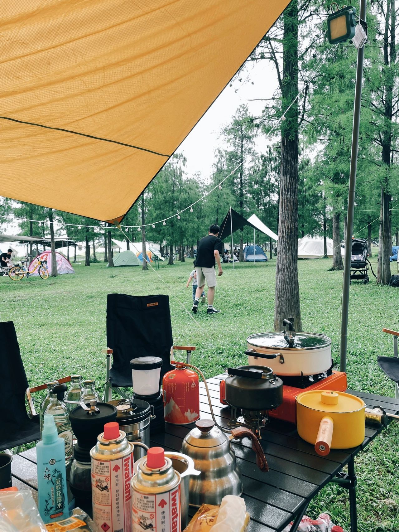 广州露营｜⛺️宝藏营地