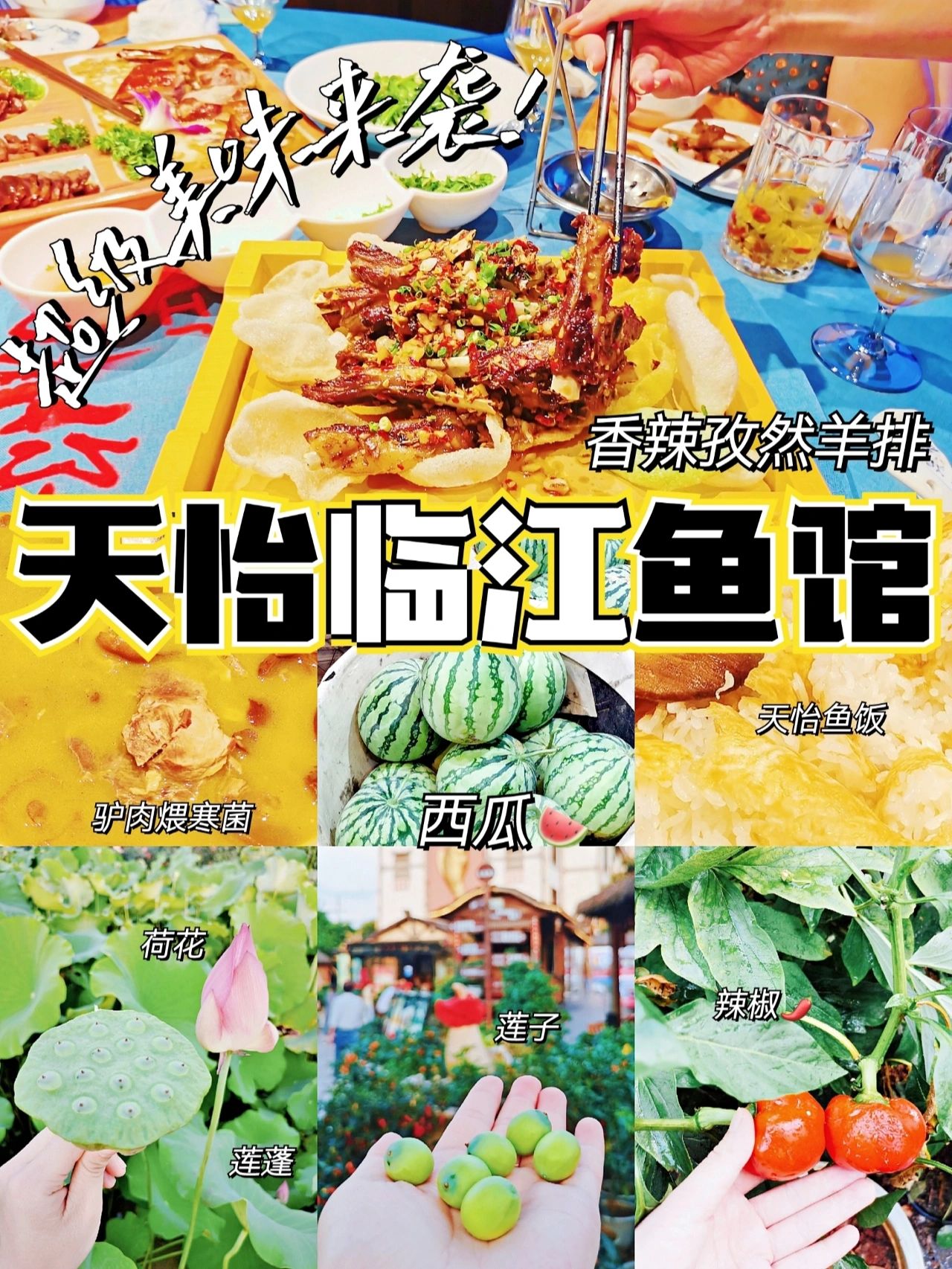湘江边的鱼馆，竟有超美味香辣孜然羊排