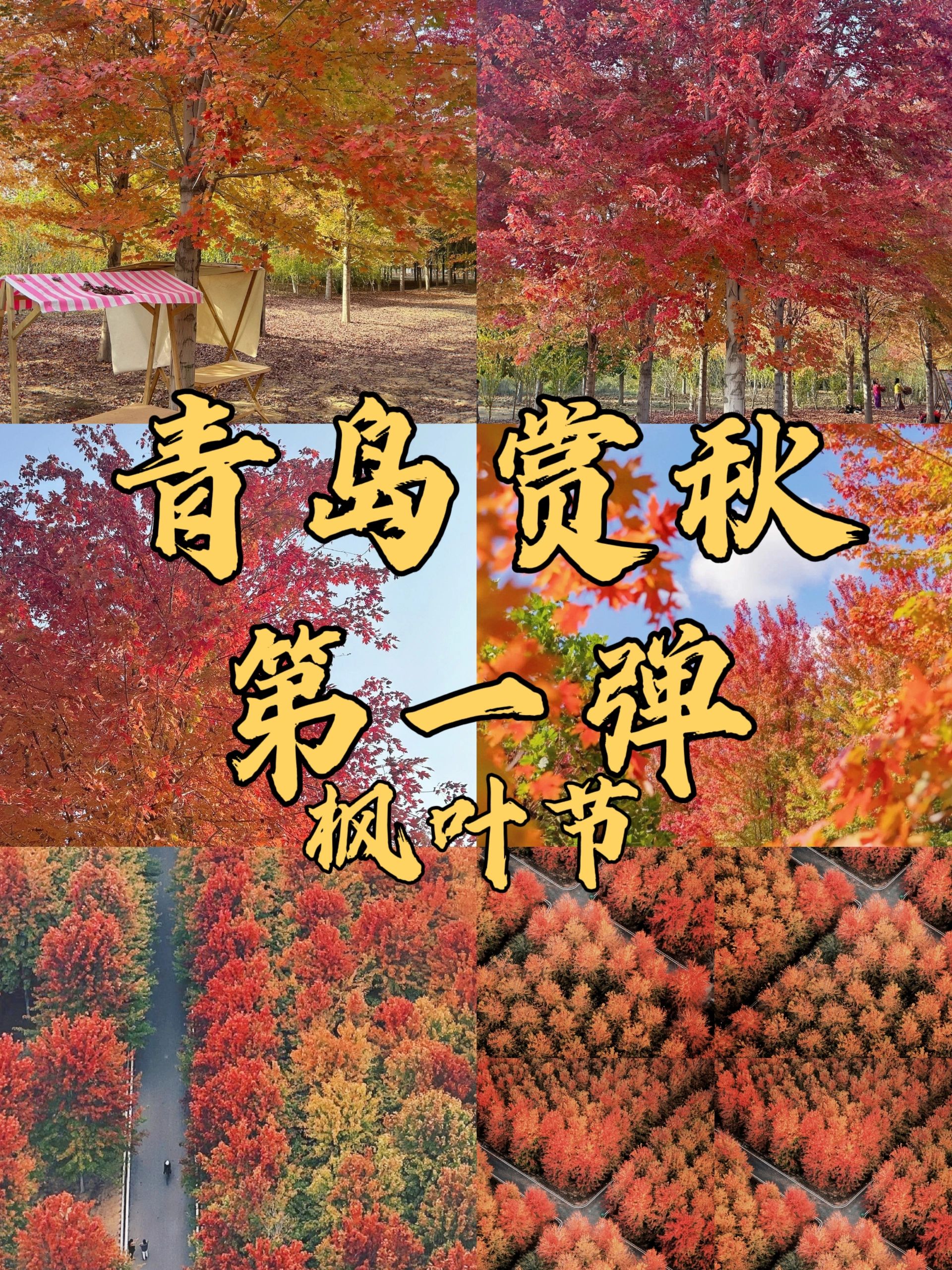 青岛赏秋第一弹，附两天一晚攻略