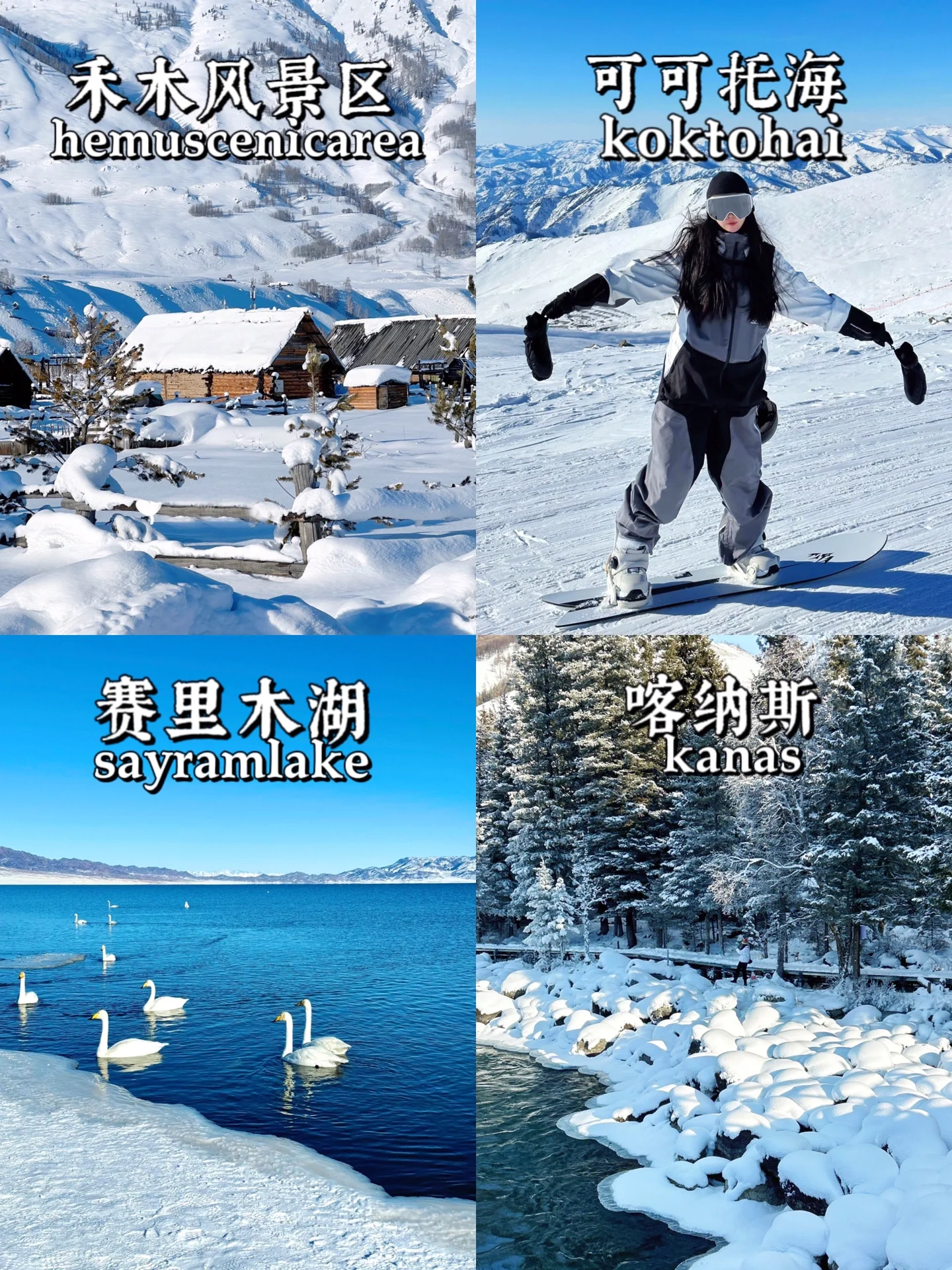 新疆深度游🧨赛里木湖→喀纳斯→禾木