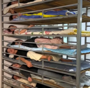 前几天，苹果公司派人来江苏昆山审核供应链工厂，全厂整改了一个月，苹果的人过来以后