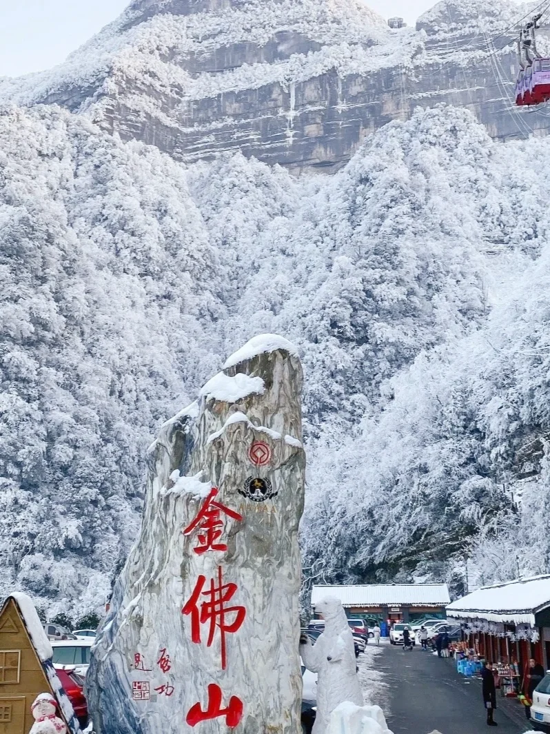 重庆周边下雪啦❄️！来金佛山看绝美雪景
