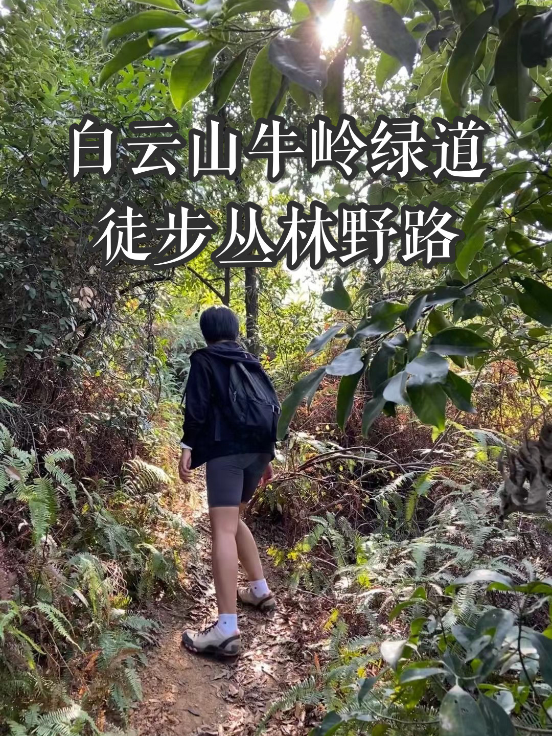 广州白云山未开发路线 探险丛林绿道