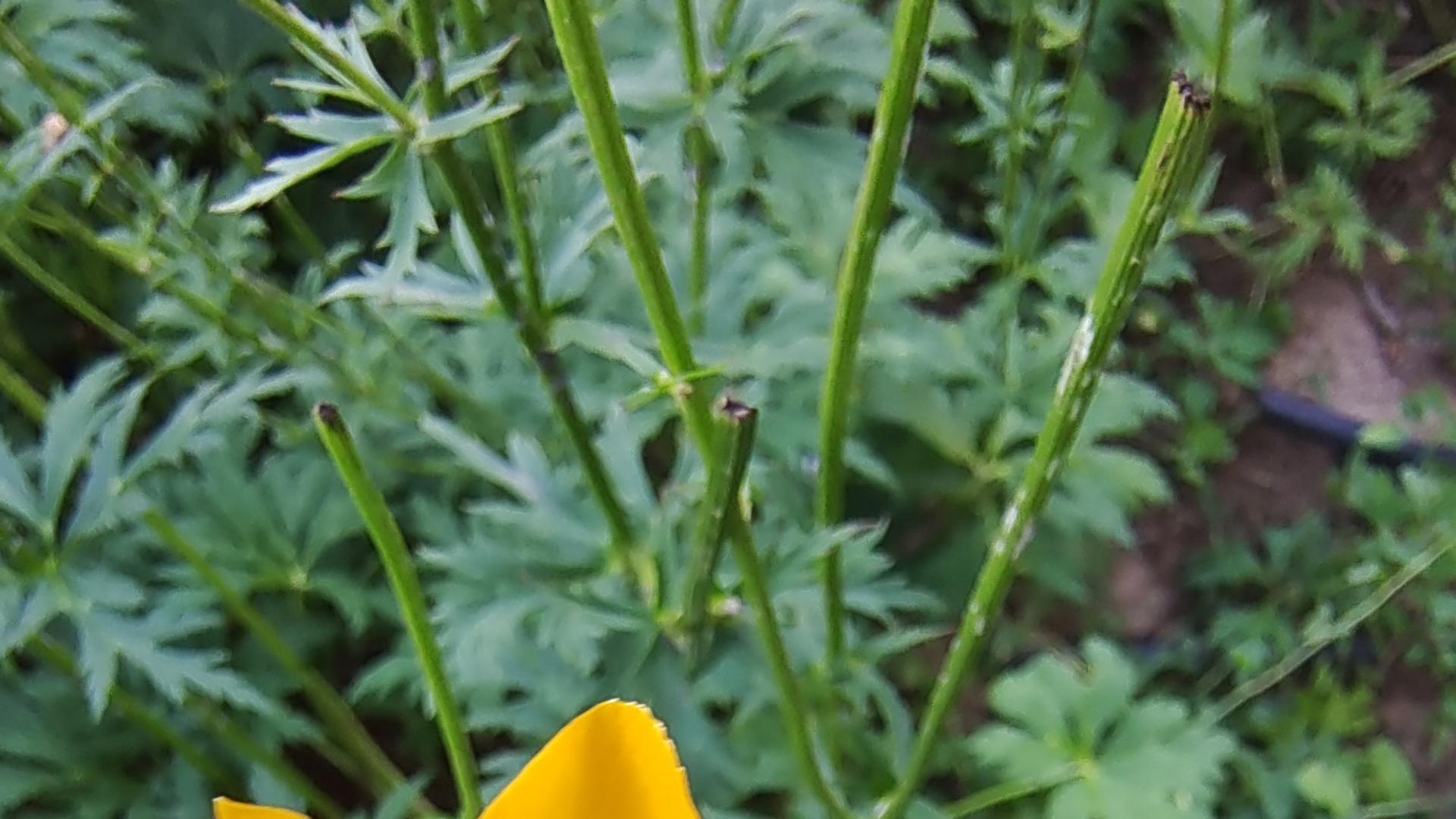 离别如此艰难，相思绵绵不断