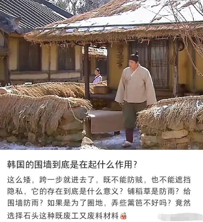 韩国居民为什么要建造这么矮的围墙？既不能防止小偷，又不能保护隐私，简直就是浪费材