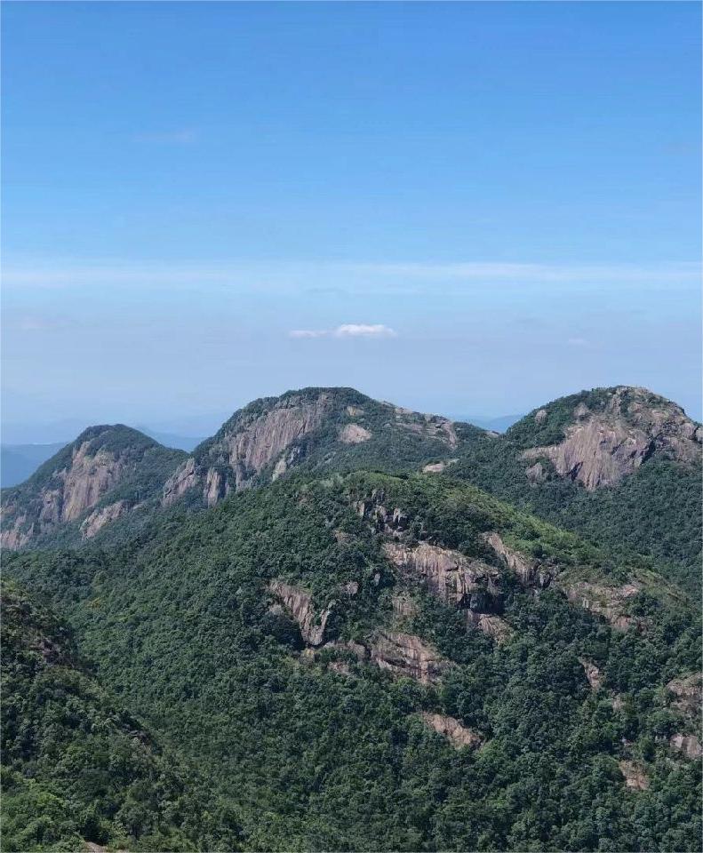 每周一山|从化五指山⛰️