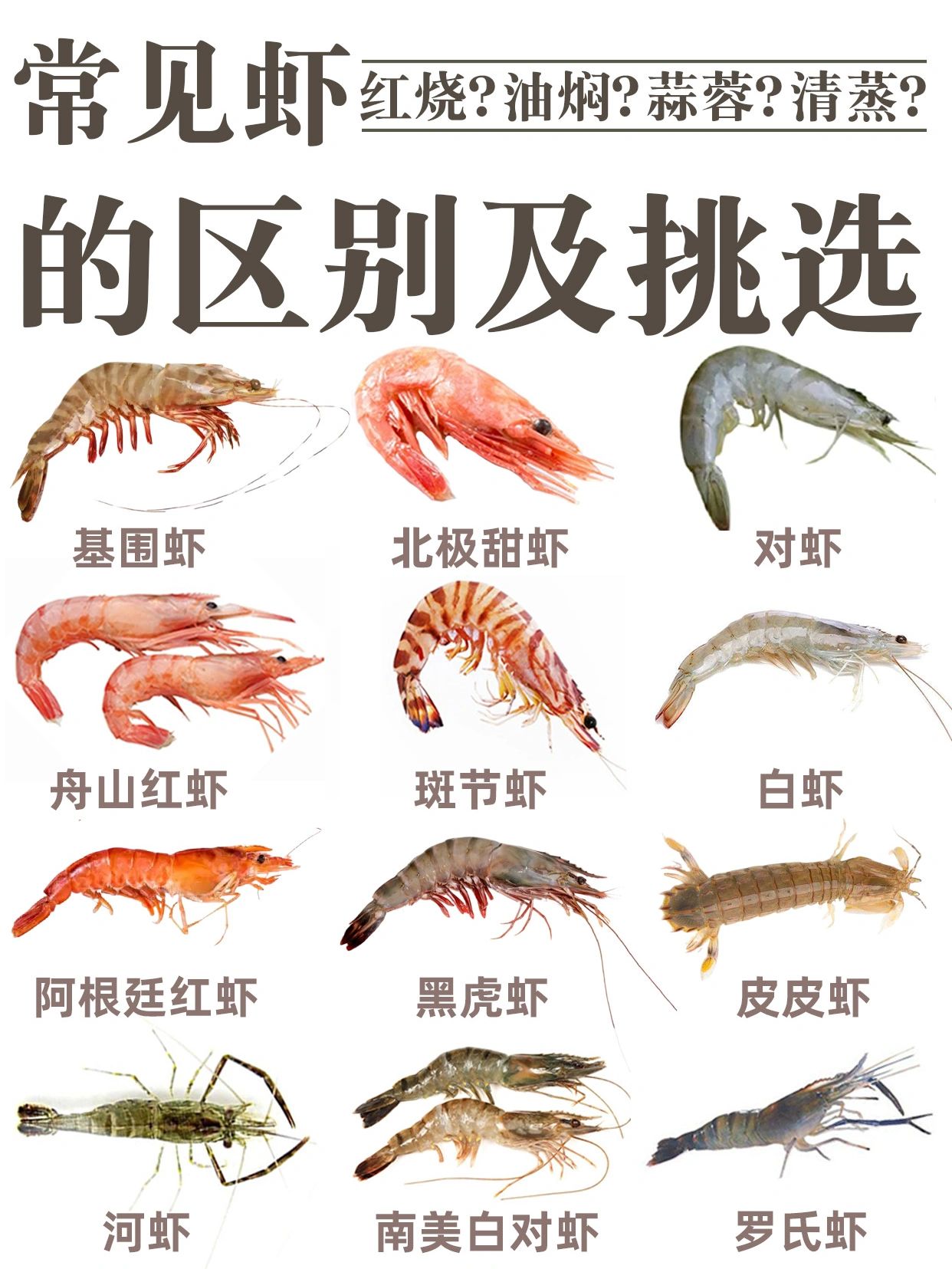 常见虾的区别和挑选#虾类营养价值排行#