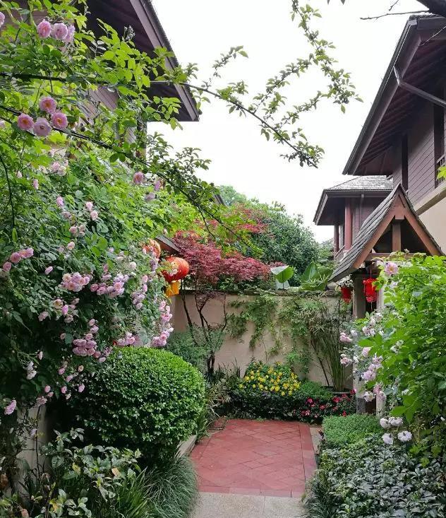 城市待腻了，我想回农村。
我曾经想象过无数次与你退休后的生活，
回到农村老家，
