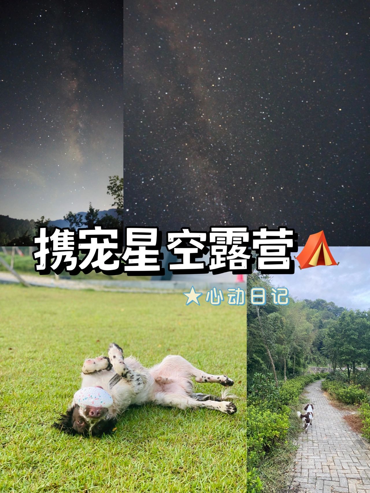 还不快🐎住‼️震撼眼球的星空露营🏕️