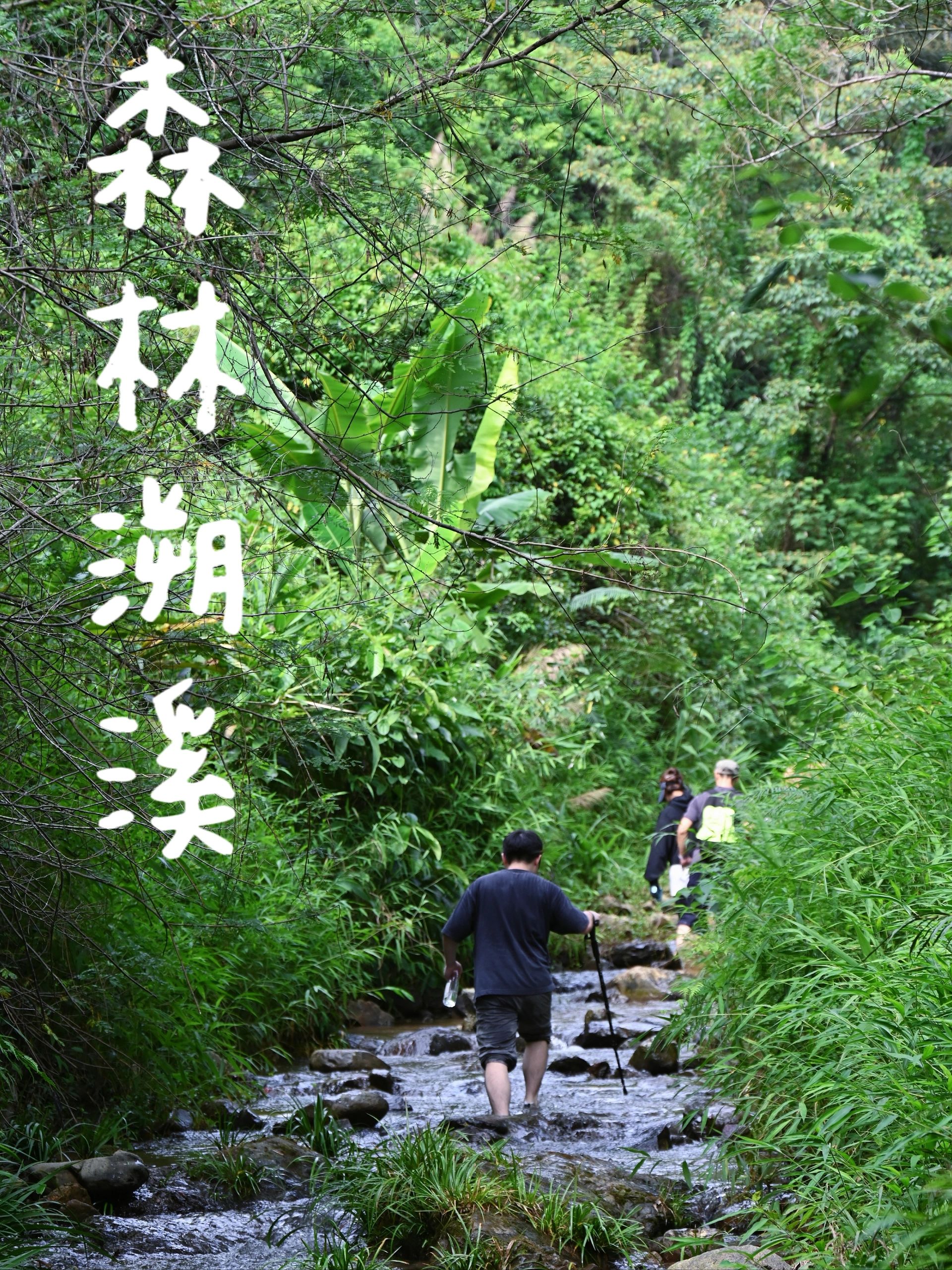 去玩水！夏天来这家度假村避暑溯溪🍃